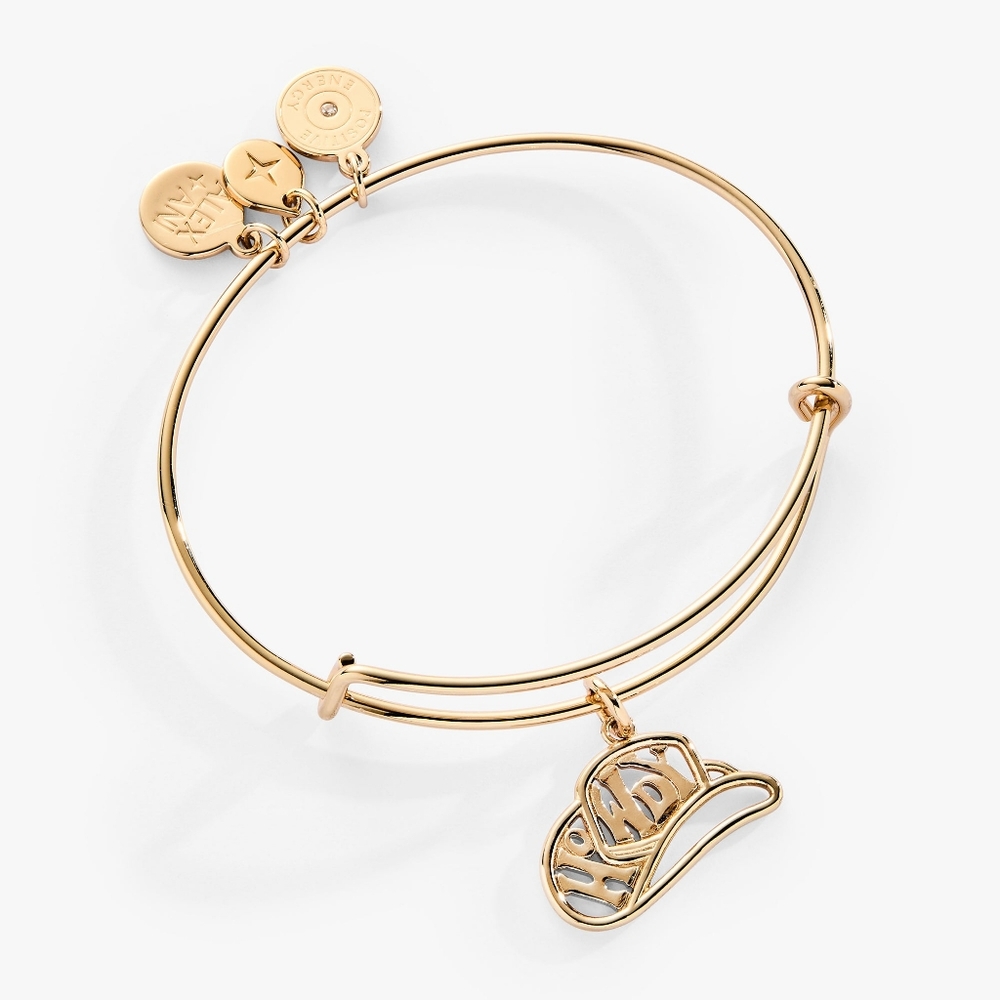 Alex and Ani Howdy bracelet
